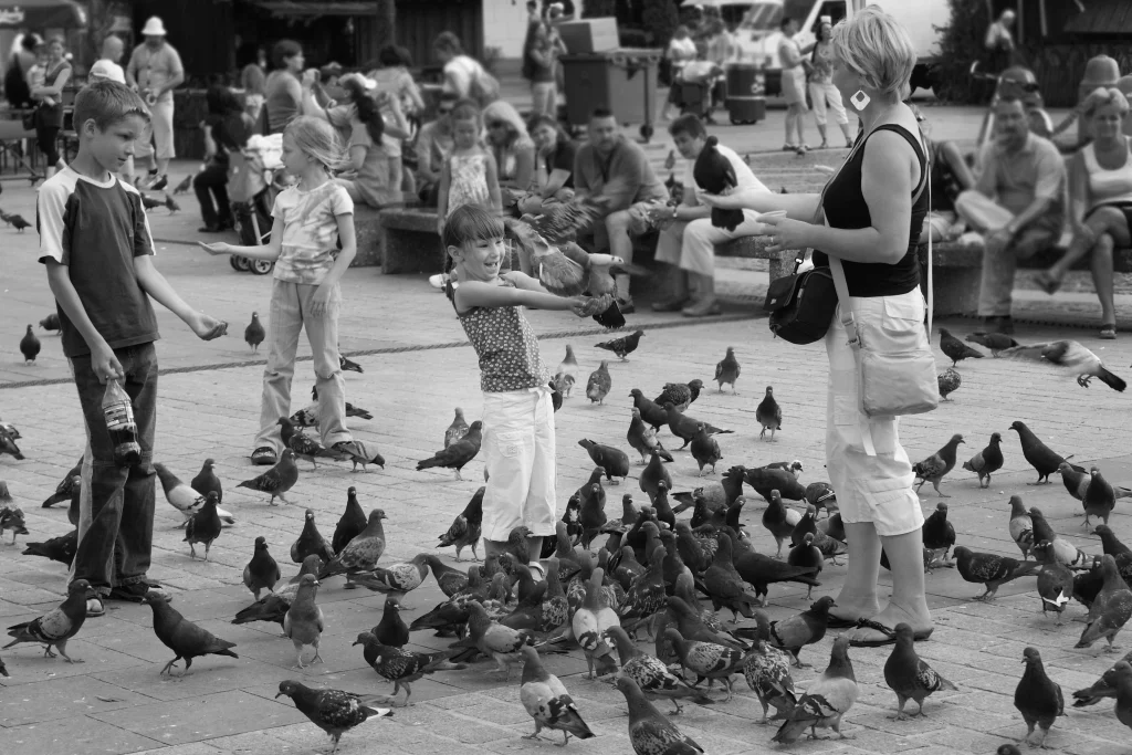 cracovie enfants aux oiseaux 1
